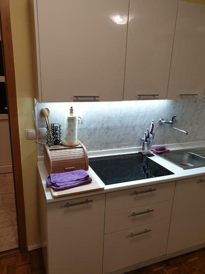 Terme Catez Apartma Nine Catez ob Savi Exterior foto